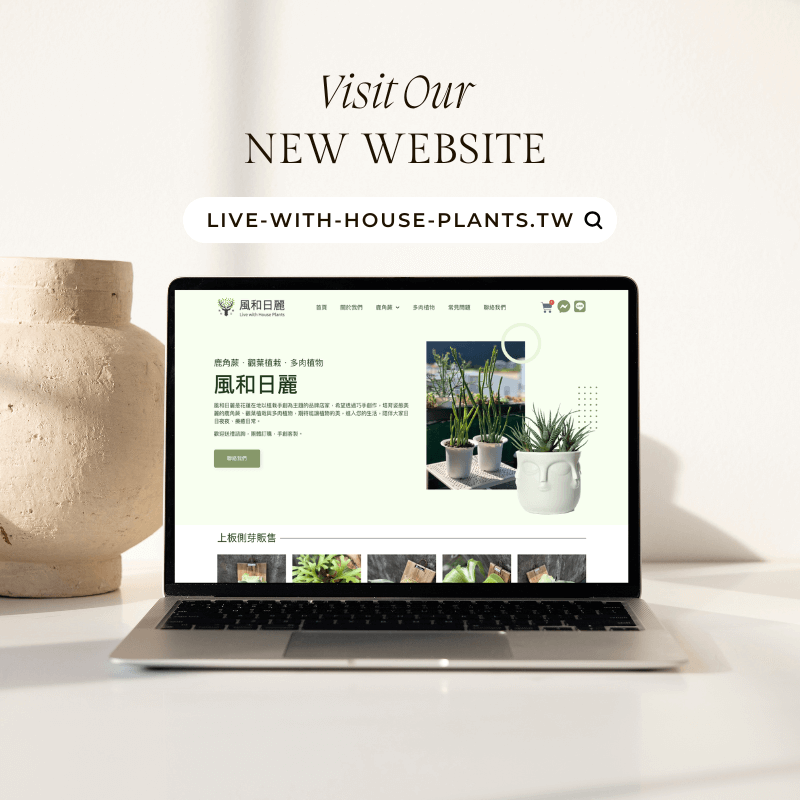 風和日麗植栽手作坊 品牌形象網站